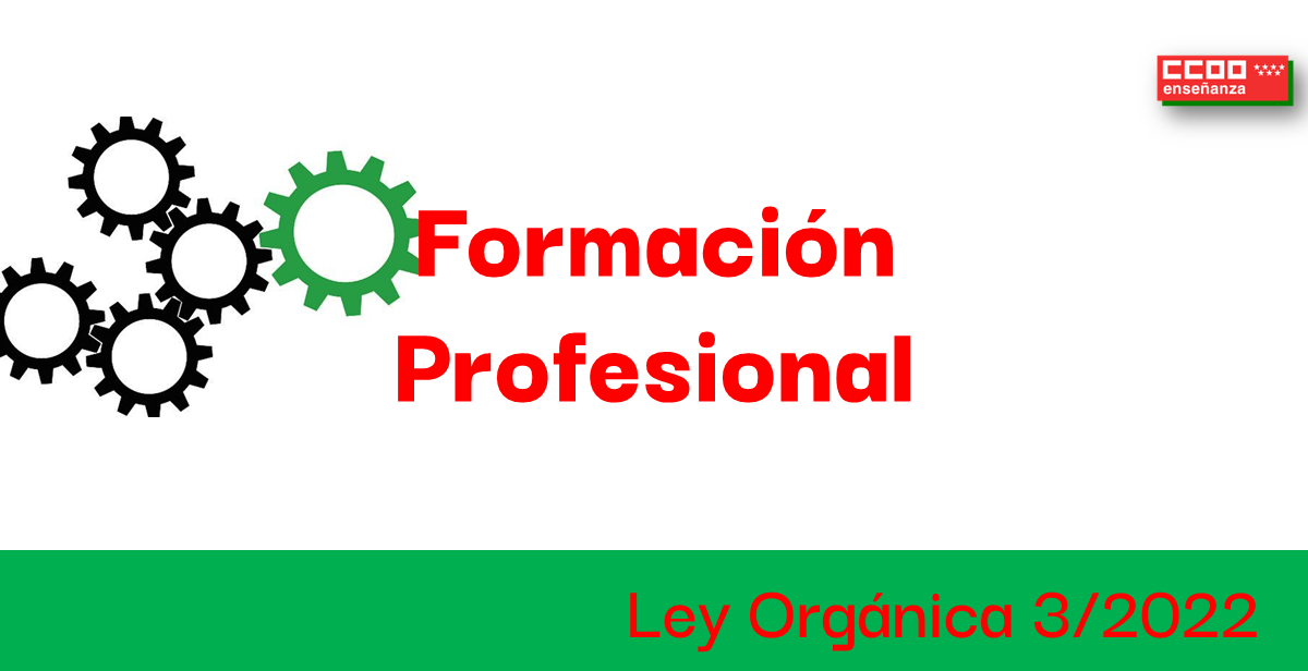 FORMACIN PROFESIONAL