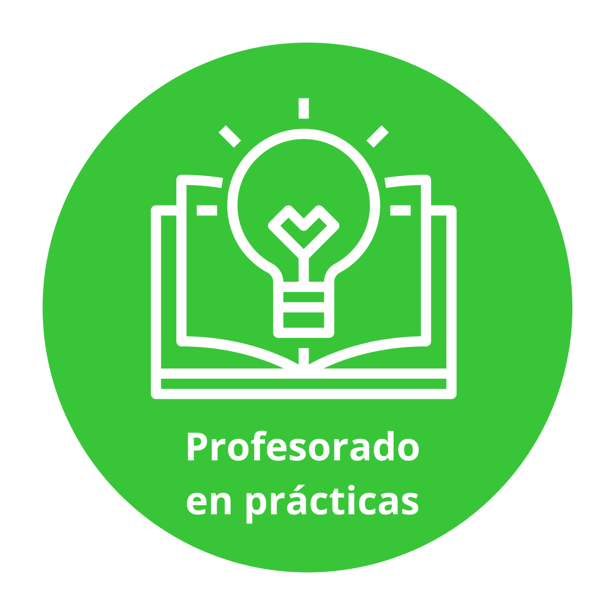 Profesotado en prcticas