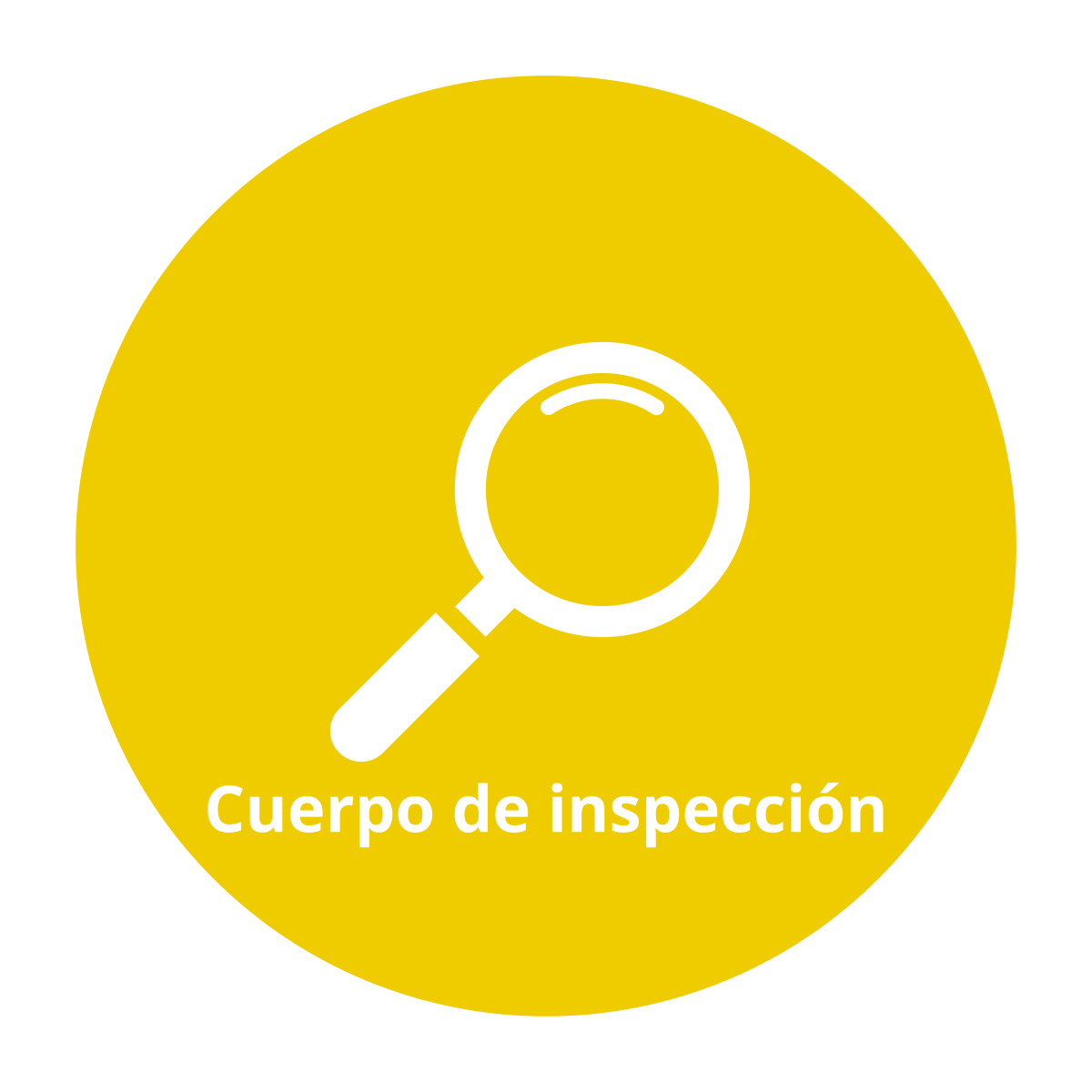 Cuerpo de inspeccin
