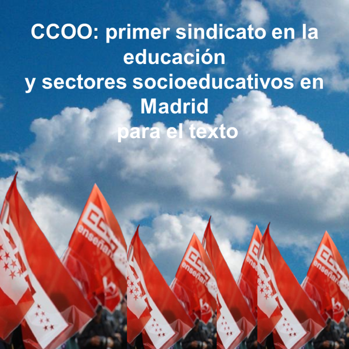 CCOO: primer sindicato en la educacin y sectores socioeducativos en Madrid