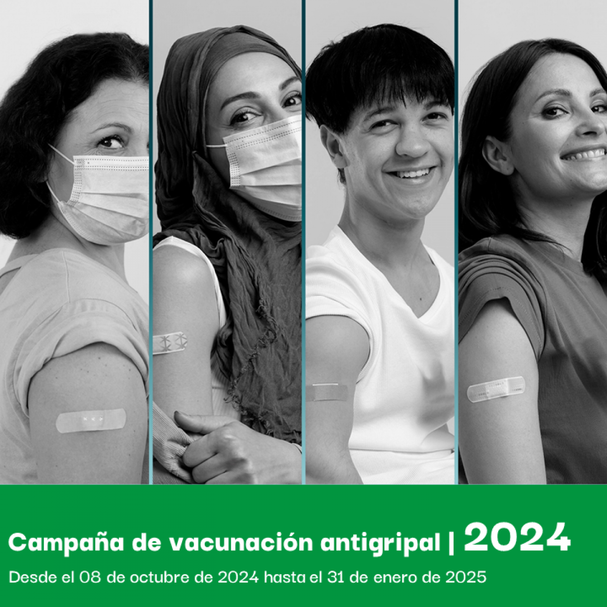 Campaa de vacunacin antigripal