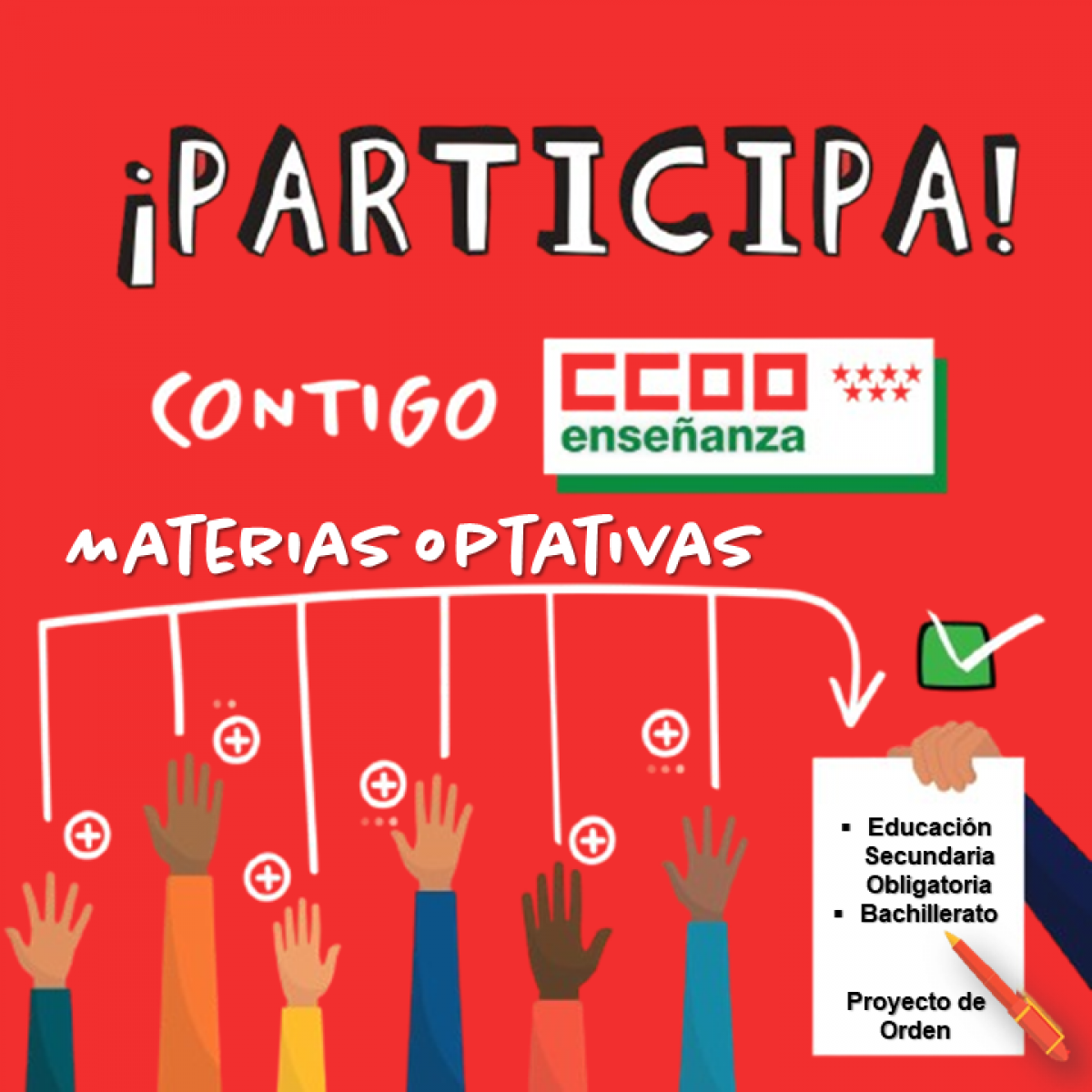 Participa