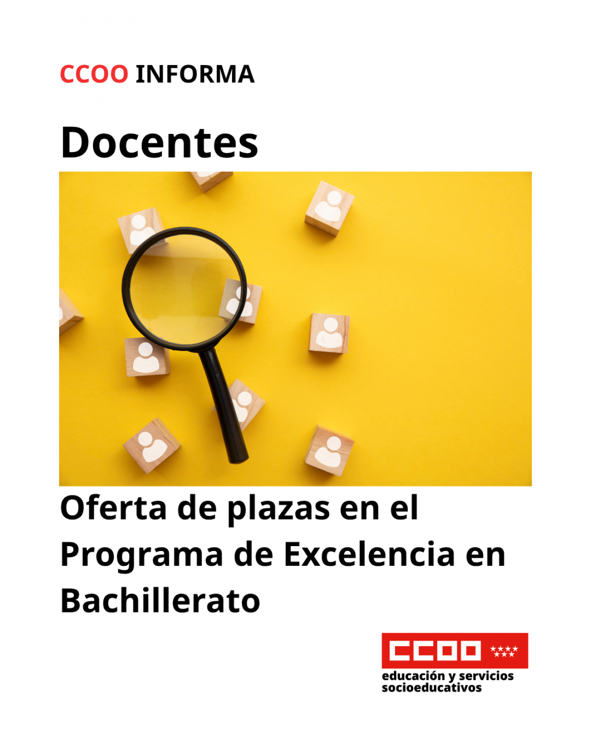 Oferta de plazas en el Programa de Excelencia en Bachillerato