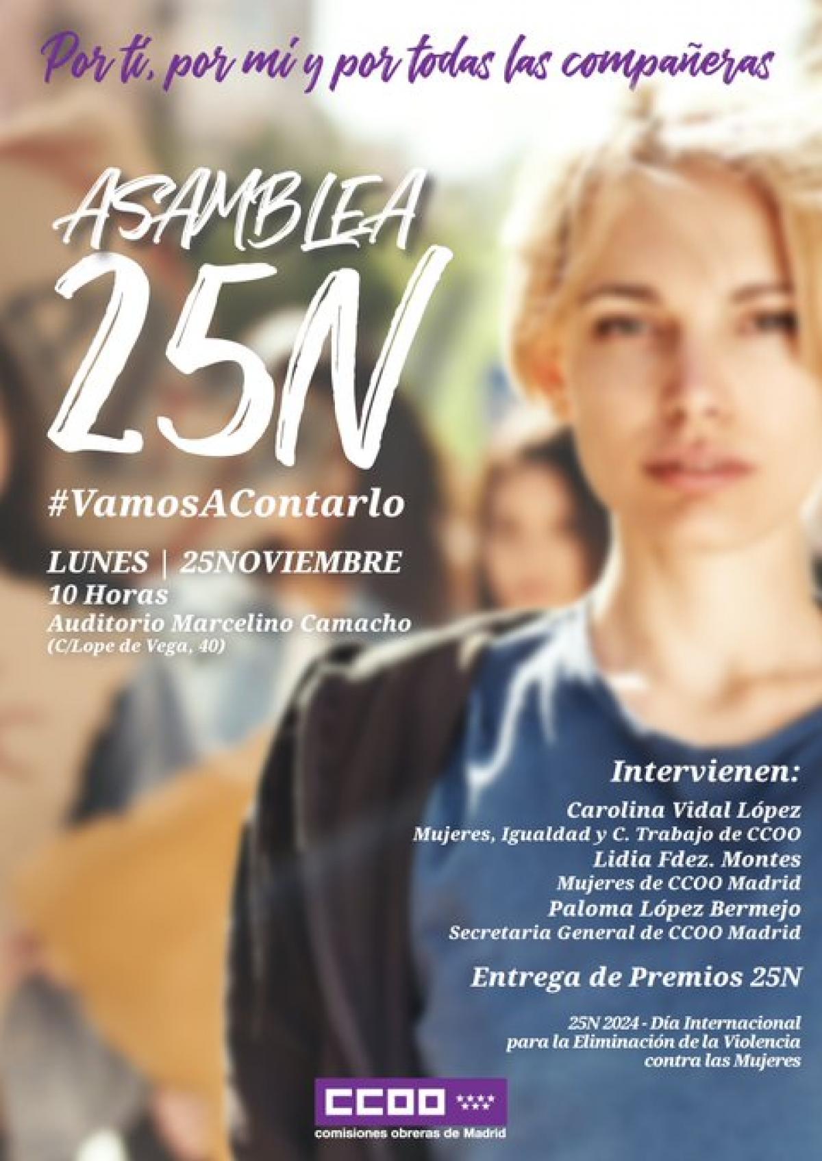 Asamblea #25N Da internacional para la Eliminacin de la Violencia contra las mujeres