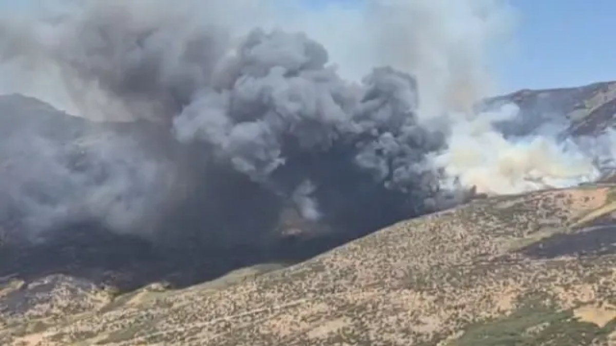 Medidas urgentes de protección laboral y social frente a los incendios forestales