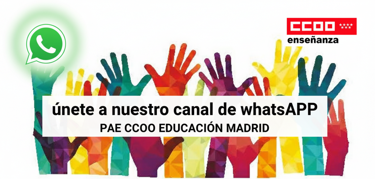 Canal WSP